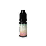 Next Level Bar Salts - Watermelon Ice 10ml Nic Salt - Vape Town
